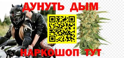 сатива Краснодар